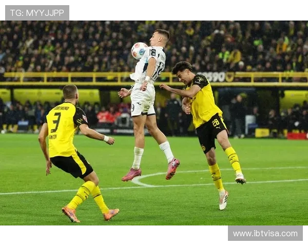 多特蒙德老板呼吁加强足球暴力治理